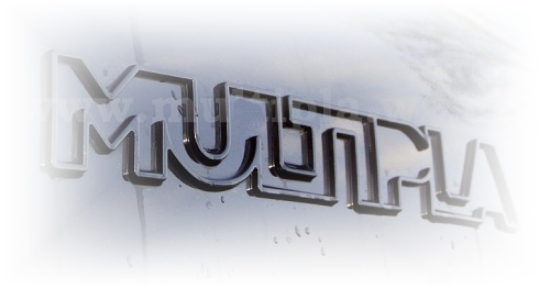 logo Multipla